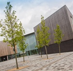 05/02/2026 - Year 9 Parents Evening Letter